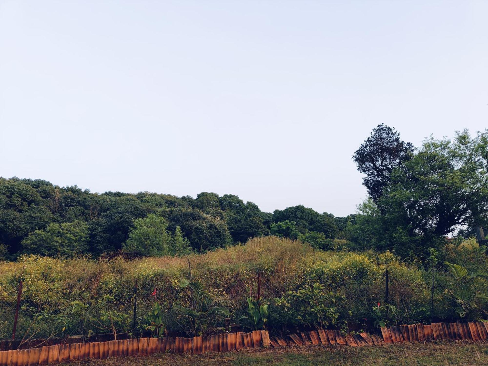 Laforesta By Mahabaleshwar Stay Bagian luar foto